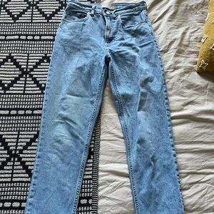 Everlane Cheeky Straight Jean